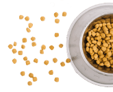 Корма для собак